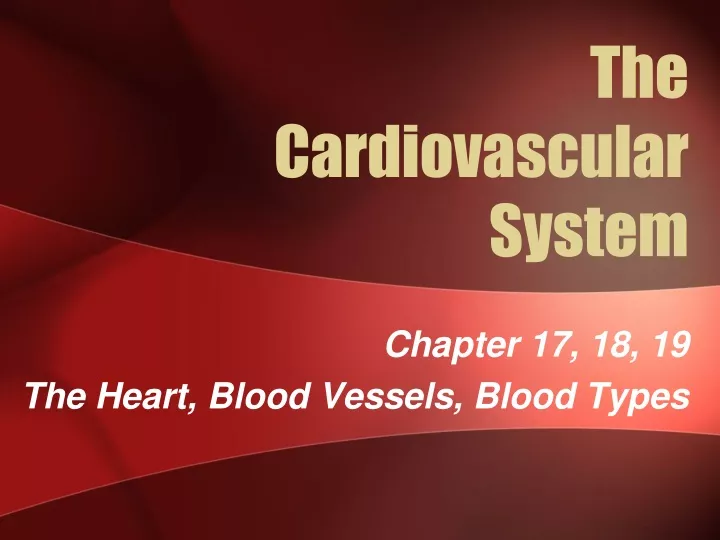 the cardiovascular system