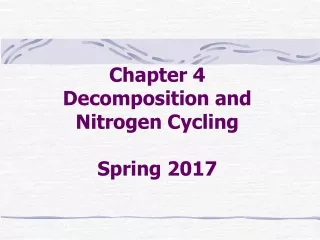 Chapter 4 Decomposition and  Nitrogen Cycling Spring 2017