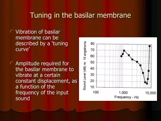 Tuning in the basilar membrane