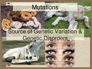 Source of Genetic Variation &amp; Genetic Disorders