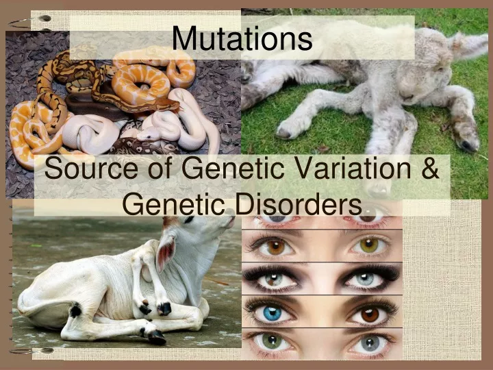 source of genetic variation genetic disorders