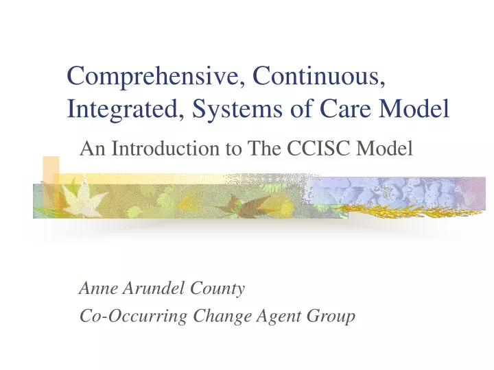 comprehensive continuous integrated systems of care model