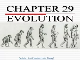 CHAPTER 29 EVOLUTION
