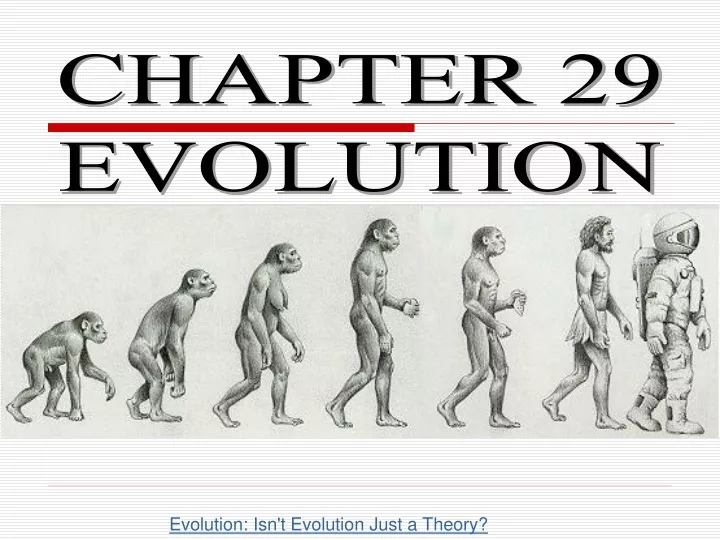 chapter 29 evolution