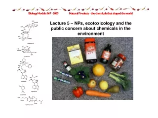Lecture 5 – NPs, ecotoxicology and the public concern about chemicals in the environment