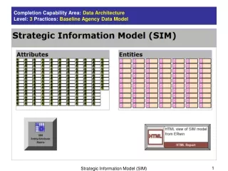 Completion Capability Area:  Data Architecture Level:  3  Practices:  Baseline Agency Data Model