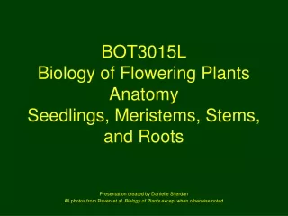 BOT3015L Biology of Flowering Plants Anatomy Seedlings, Meristems, Stems, and Roots