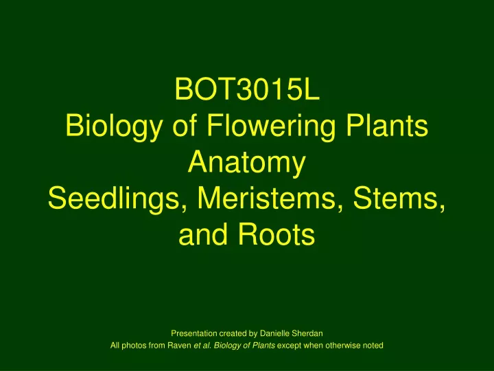 bot3015l biology of flowering plants anatomy seedlings meristems stems and roots