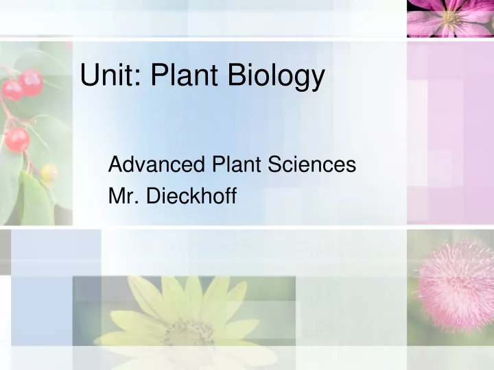 unit plant biology