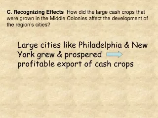 Large cities like Philadelphia &amp; New York grew &amp; prospered      profitable export of cash crops