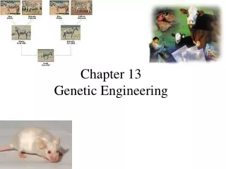 Chapter 13  Genetic Engineering