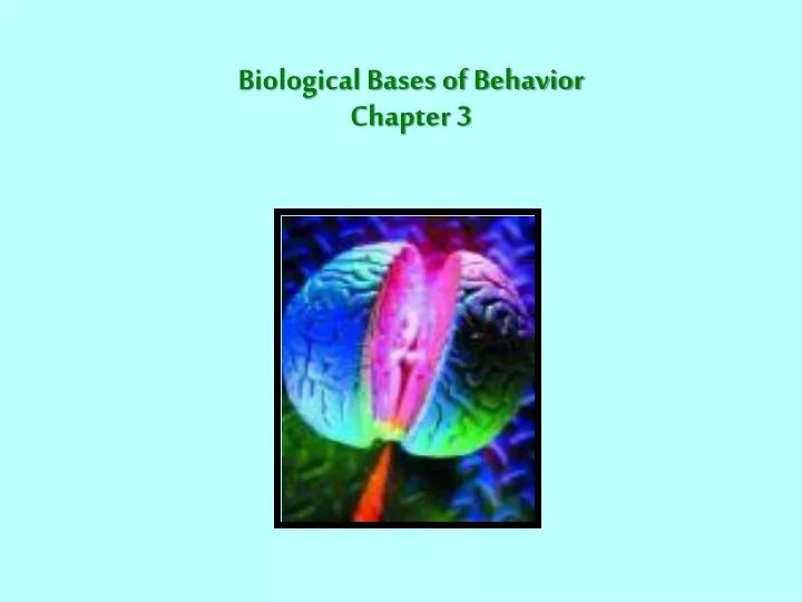 biological bases of behavior chapter 3