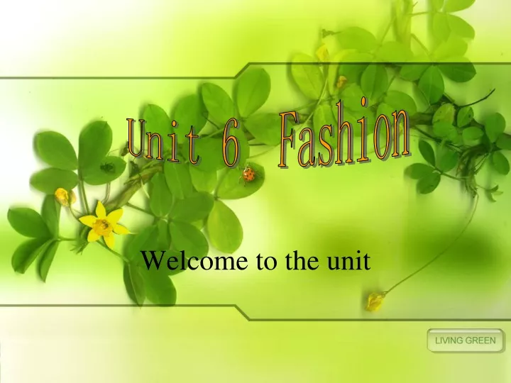 unit 6 fashion