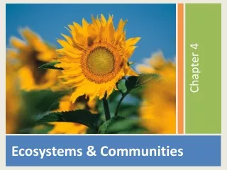 Ecosystems &amp; Communities