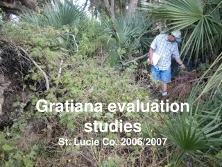 Gratiana evaluation studies  St. Lucie Co. 2006/2007