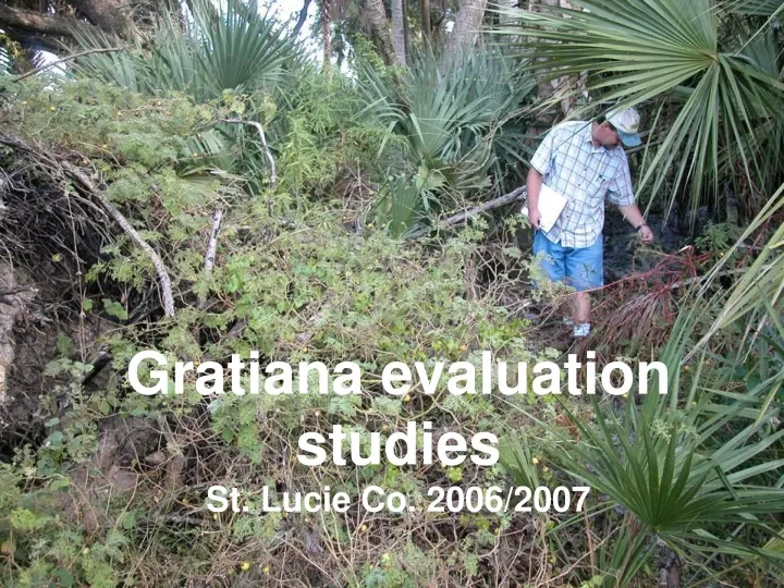 gratiana evaluation studies st lucie co 2006 2007