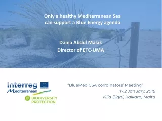 Only a healthy Mediterranean Sea  can support a Blue Energy agenda