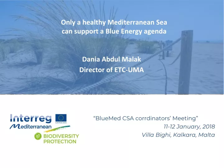 only a healthy mediterranean sea can support a blue energy agenda