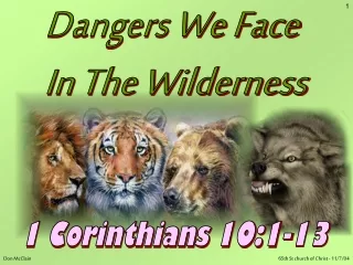 Dangers We Face  In The Wilderness