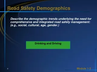 Road Safety Demographics