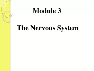 Module 3  The Nervous System
