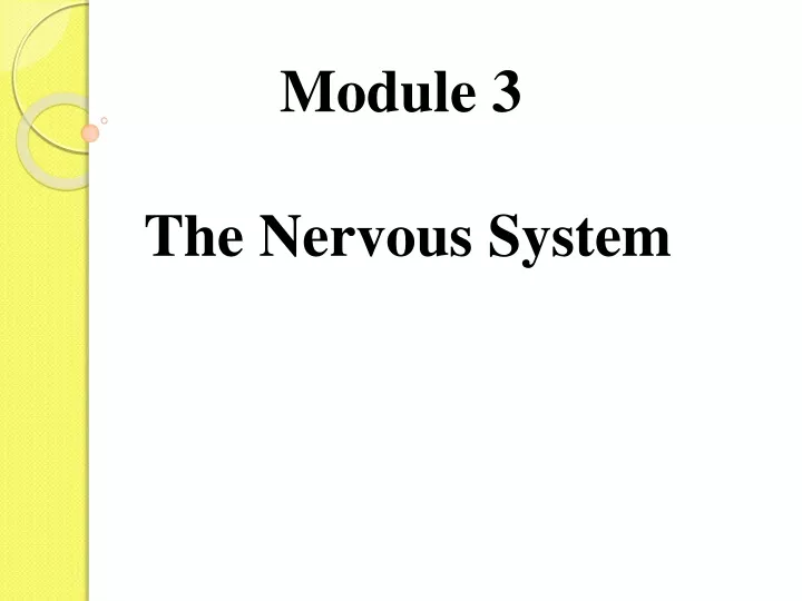 module 3 the nervous system