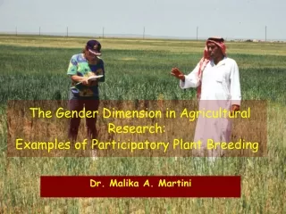 The Gender Dimension in Agricultural Research: Examples of Participatory Plant Breeding