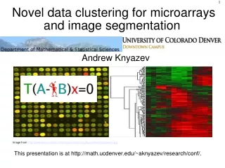 Novel data clustering for microarrays and image segmentation