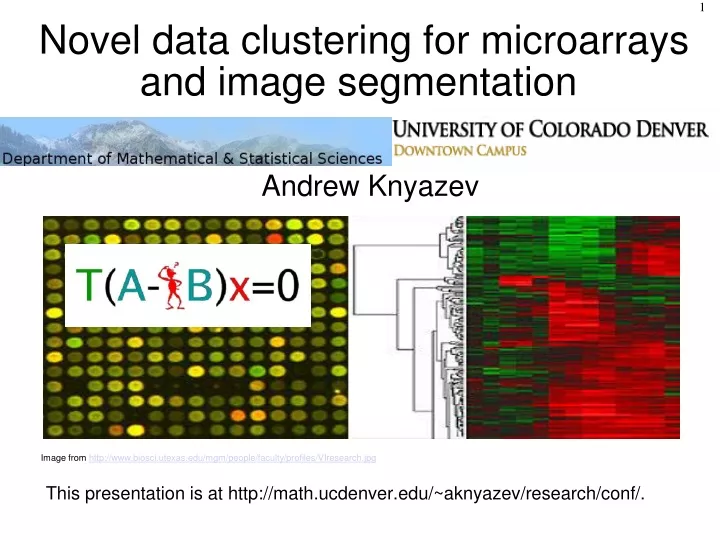 novel data clustering for microarrays and image segmentation