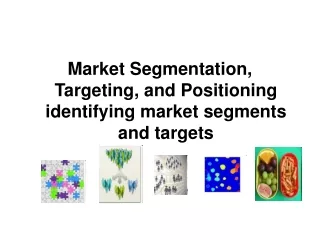 Market Segmentation, Targeting, and Positioning identifying market segments and targets