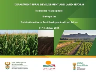 DEPARTMENT RURAL DEVELOPMENT AND LAND REFORM The Blended Financing Model  Briefing to the