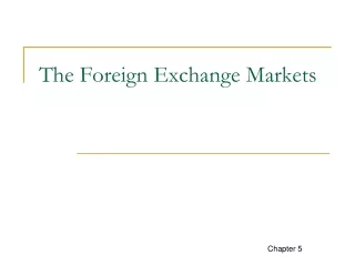The Foreign Exchange Markets