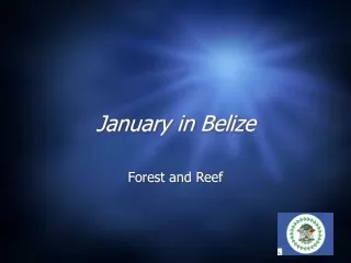 January in Belize