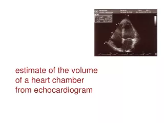 estimate of the volume  of a heart chamber  from echocardiogram
