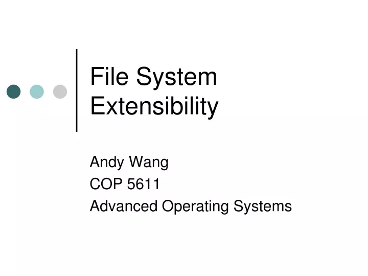 file system extensibility