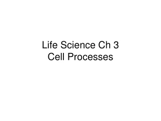 Life Science Ch 3  Cell Processes