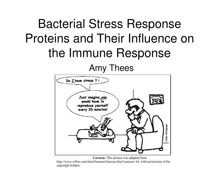 bacterial stress response proteins and their influence on the immune response