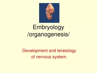 Embryology /organogenesis/