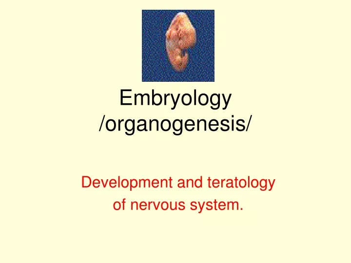 embryology organogenesis