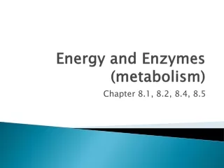 Energy and Enzymes (metabolism)