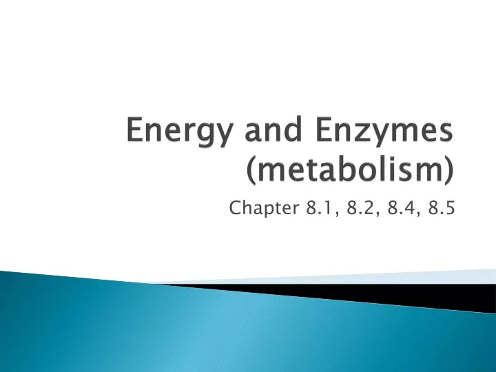 energy and enzymes metabolism