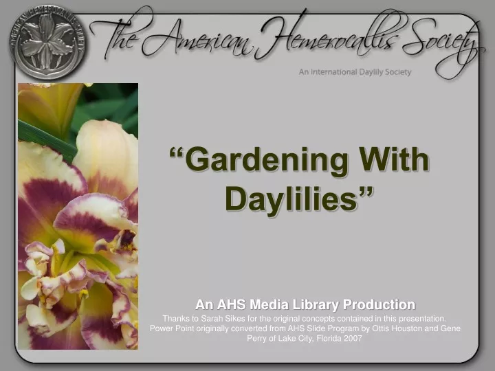 gardening with daylilies