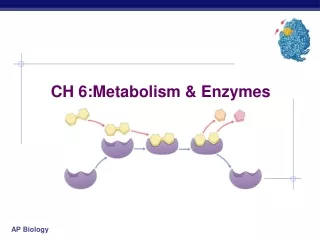 CH 6:Metabolism &amp; Enzymes