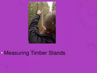Measuring Timber Stands