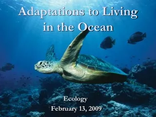 Adaptations to Living in the Ocean