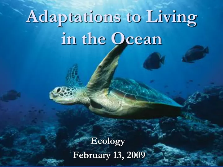 adaptations to living in the ocean