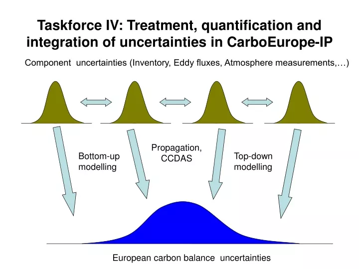 taskforce iv treatment quantification and integration of uncertainties in carboeurope ip