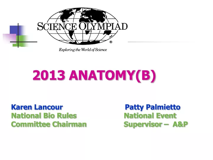 2013 anatomy b