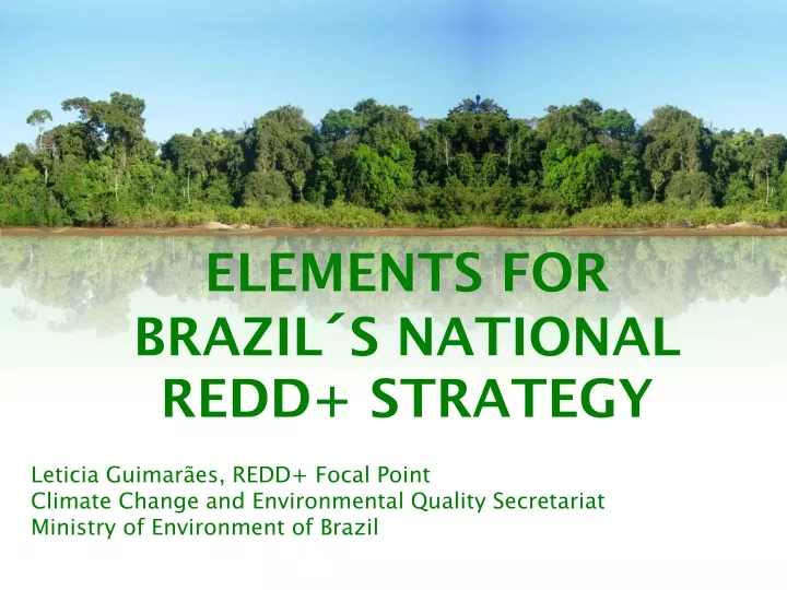 elements for brazil s national redd strategy