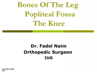 Bones Of The Leg   Popliteal Fossa The Knee